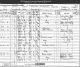 1891 UK Census - Septimus Nimmo Peacock 1891 UK Census - Septimus Nimmo Peacock