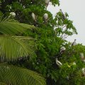 DSC00891