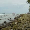 DSC00897