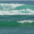 DSC00706