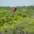 DSC00918