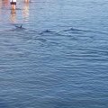 20170418_080129_1492510255041