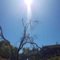 20180716_120015_1531709405171