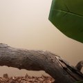 20180718_133433