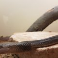 20180718_133520
