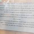 20180729_084153_1532850181518