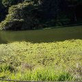 20180804_155444_1533376288889
